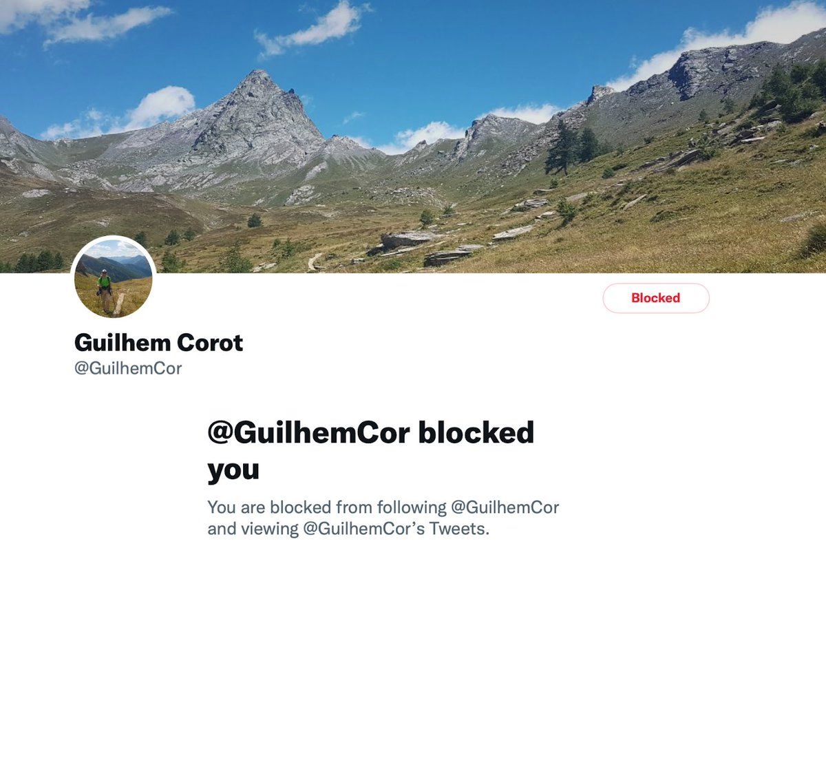 oh my god twitter doesn’t include alt text from images in their API