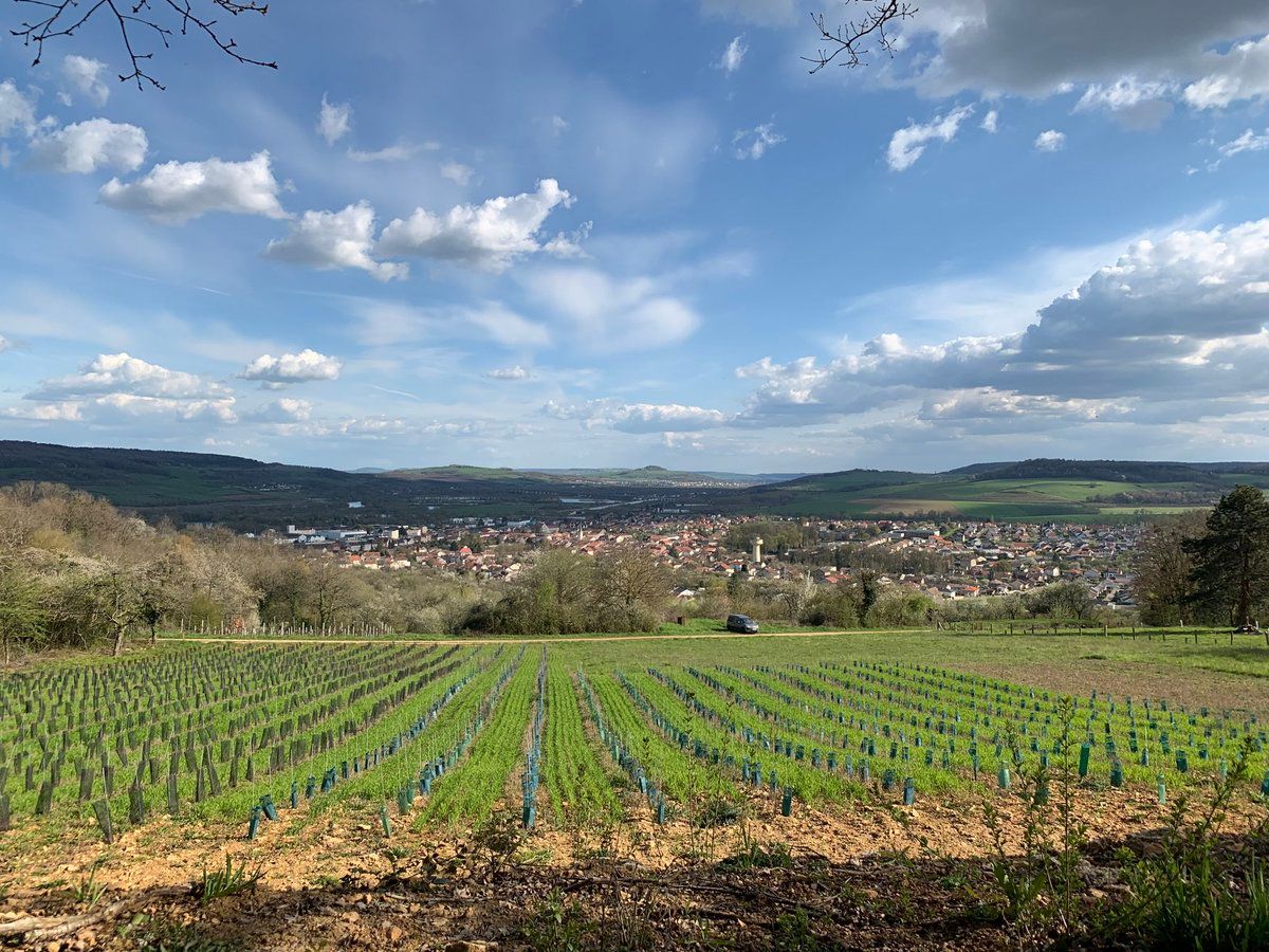 oh my god twitter doesn’t include alt text from images in their API